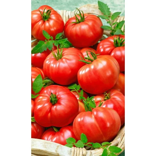 Семена Томат Толстый Барон F1 12шт (УД) Е/П