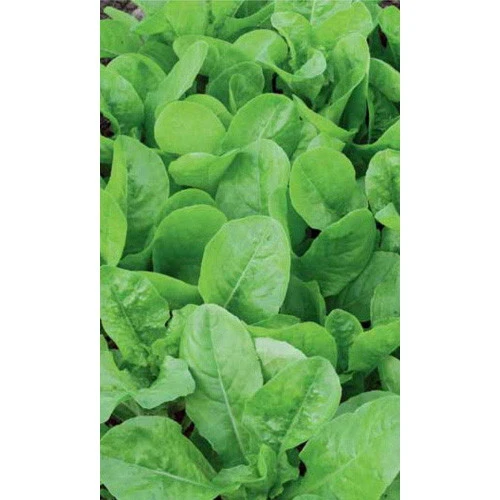 Семена Салат Бутербродный 0,3гр (Марс) Б/П