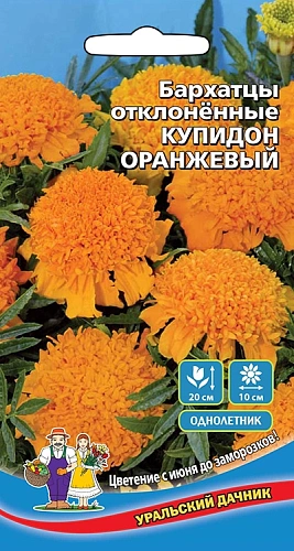 Семена Бархатцы отклоненные Купидон оранжевый 0,2гр (УД) Е/П