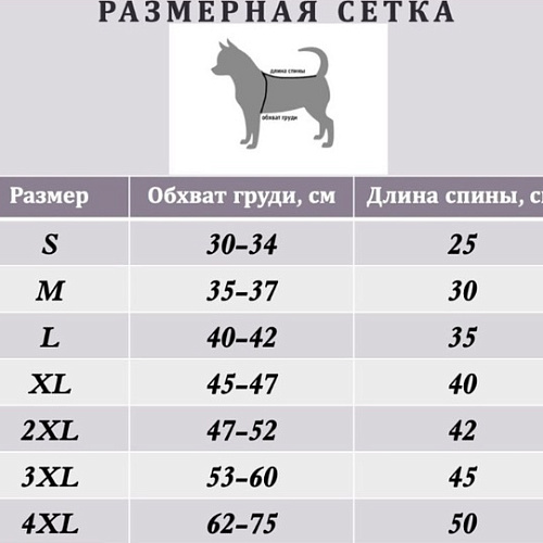 аправр