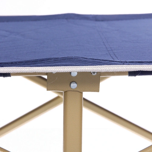 Раскладушка кемпинговая складная с матрасом 1886649 см, серый-синий_18