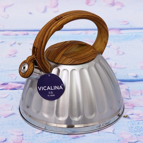 Чайник из нержавеющей стали 3,2л Vicalina глянцевый VL-0056_10